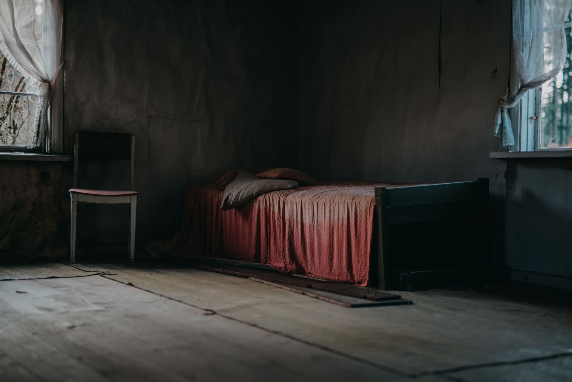 Traitement punaises de lit à Montauban